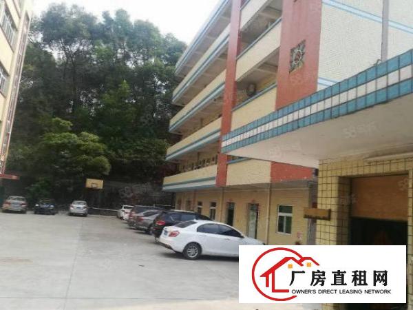  塘厦科苑城独院标准1楼700平方！可装峰谷表！园区空地超大
