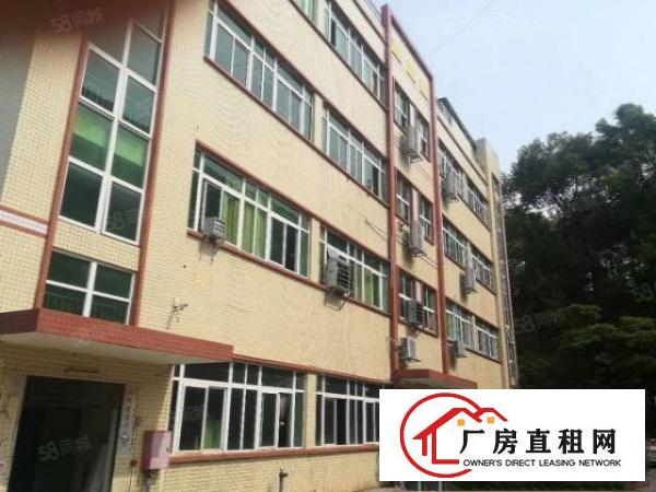  塘厦科苑城独院标准1楼700平方！可装峰谷表！园区空地超大