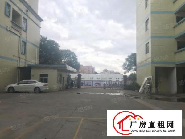  塘厦横塘金典独院7705平厂方仓库出租！空地大有车位交通便利