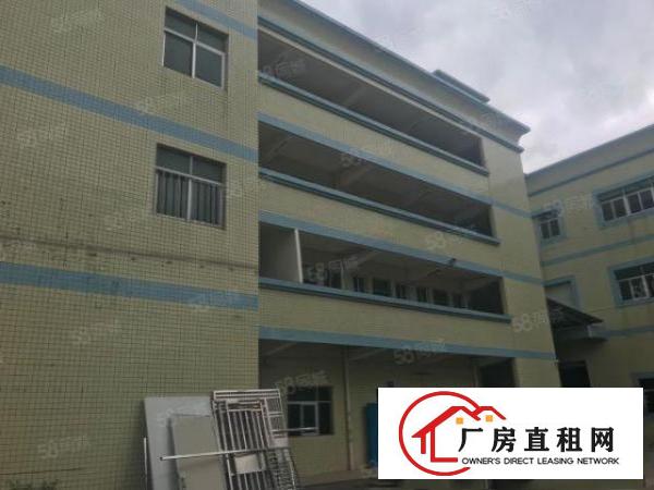  塘厦横塘金典独院7705平厂方仓库出租！空地大有车位交通便利