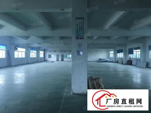  塘厦横塘金典独院7705平厂方仓库出租！空地大有车位交通便利