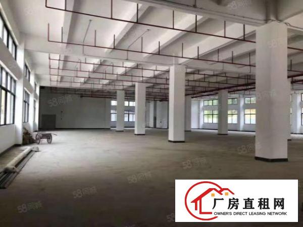  塘厦沙湖新出3700平标准厂房出租