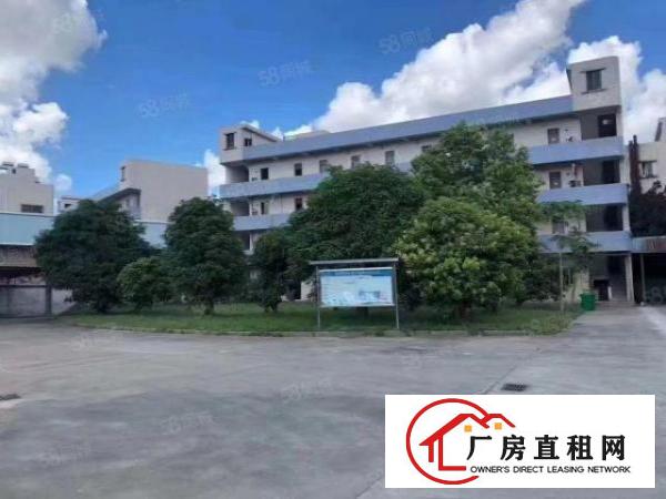  塘厦沙湖新出3700平标准厂房出租