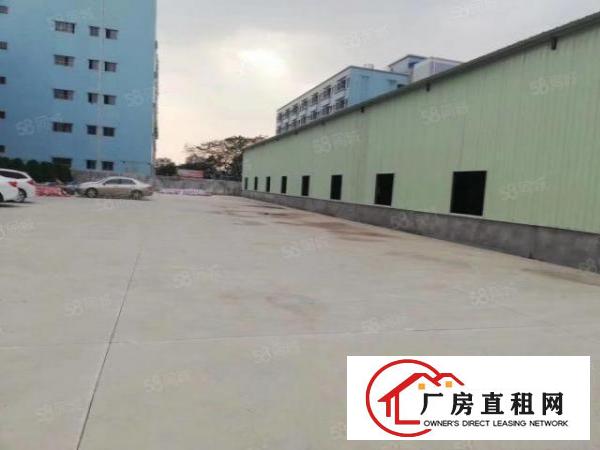  塘厦高丽工业区新出钢结构780平方米，内高6.5米。空地大