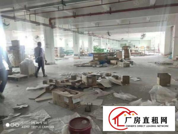  塘厦新出独院厂房10000平米标准厂房出租