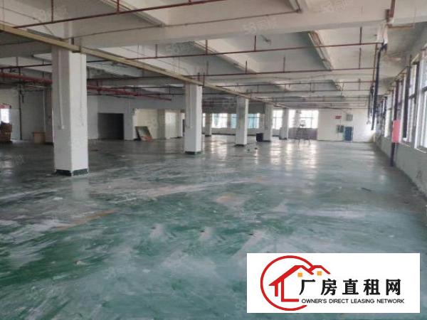  塘厦石潭布新工业区标准2楼1200平方！只租13元！水电齐全