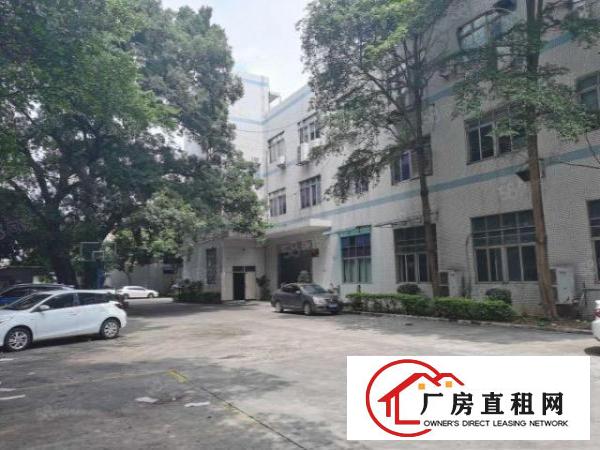  塘厦石潭布新工业区标准2楼1200平方！只租13元！水电齐全