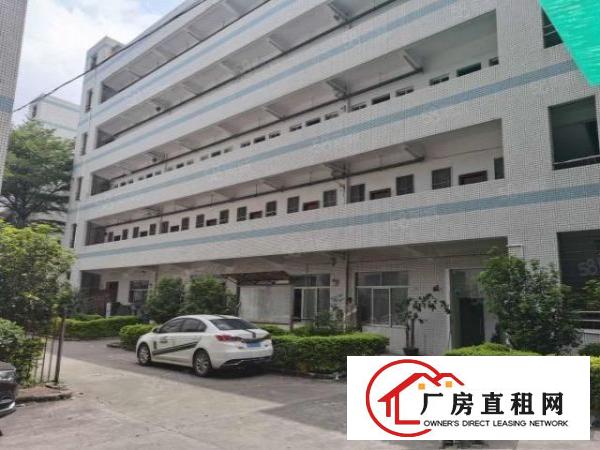  塘厦石潭布新工业区标准2楼1200平方！只租13元！水电齐全