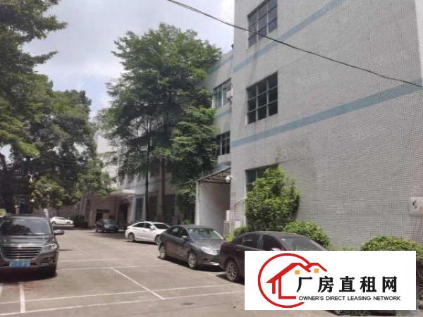  塘厦石潭布新工业区标准2楼1200平方！只租13元！水电齐全