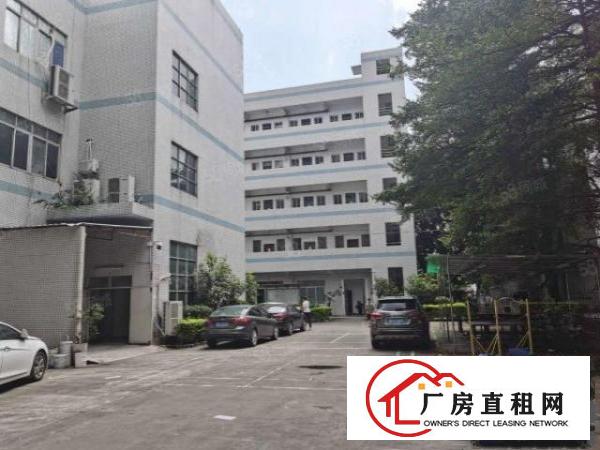  塘厦石潭布新工业区标准2楼1200平方！只租13元！水电齐全