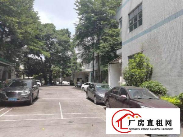  塘厦石潭布新工业区标准2楼1200平方！只租13元！水电齐全