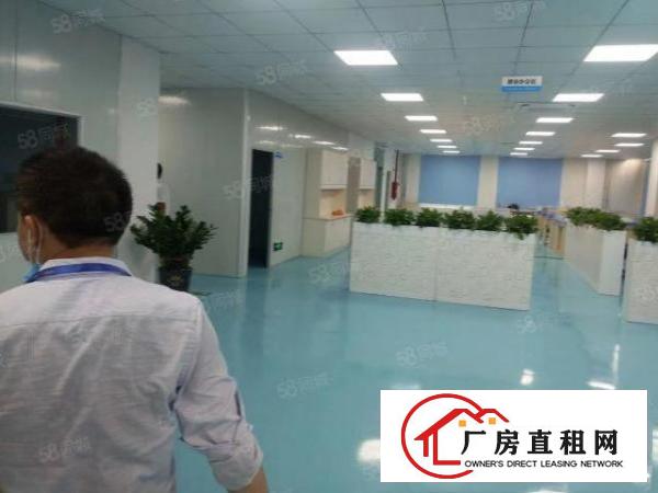  塘厦大坪独院标准2楼1200平方车间蓝色地坪漆！隔好办公室装