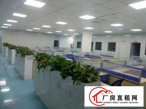  塘厦大坪独院标准2楼1200平方车间蓝色地坪漆！隔好办公室装