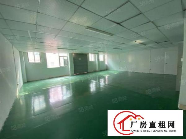  大坪新出楼上300平方厂房出租全新地坪吊顶全新装修