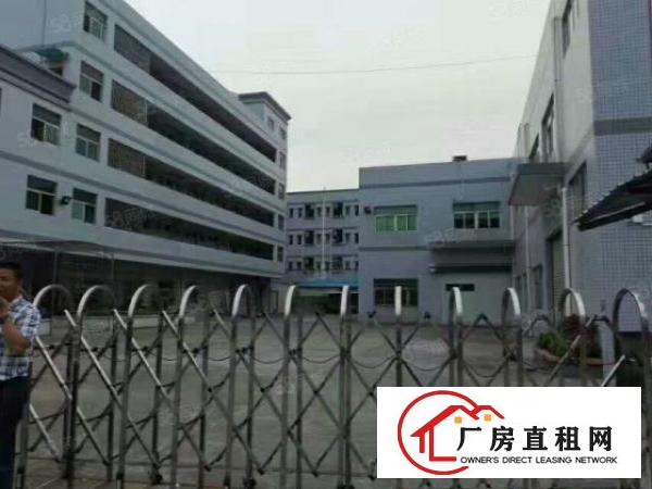  塘厦振兴围小两层独院3600平方！形象好！现成主线装修
