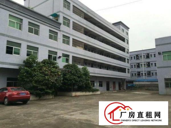 塘厦振兴围小两层独院3600平方！形象好！现成主线装修
