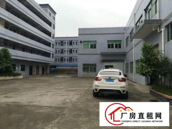  塘厦振兴围小两层独院3600平方！形象好！现成主线装修