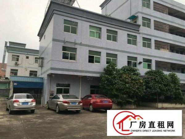  塘厦振兴围小两层独院3600平方！形象好！现成主线装修