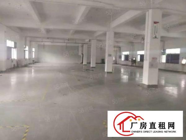  塘厦振兴围小两层独院3600平方！形象好！现成主线装修