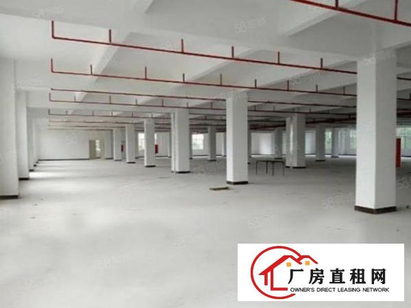  塘厦科苑城全新厂房每层2700平方！消防合格，形象大气