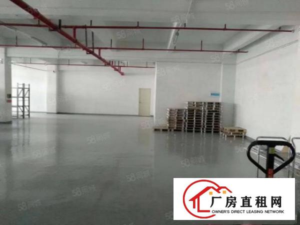  塘厦大坪工业园独栋小两层3000平方！可分层出租！可开发票