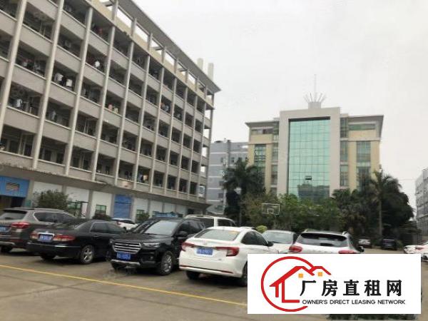  靠深圳新出标准厂房3楼450平方全现成装修拎包入住