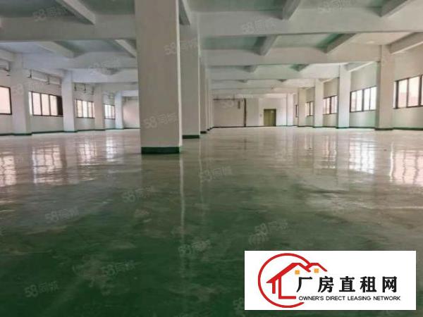  龙背岭新装修厂房每层1450平米大小可分租位置好配套齐