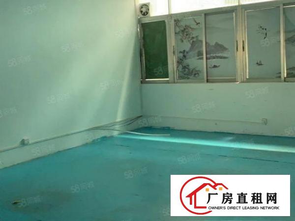  塘厦镇清湖头高丽工业区新出带装修地坪漆，办公室1000平