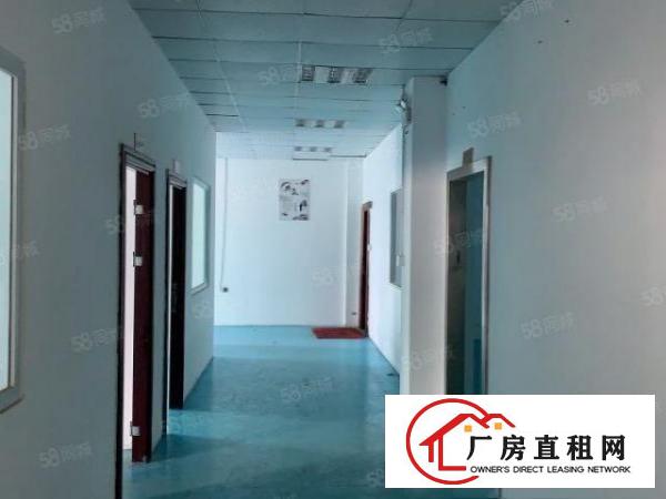  塘厦镇清湖头高丽工业区新出带装修地坪漆，办公室1000平