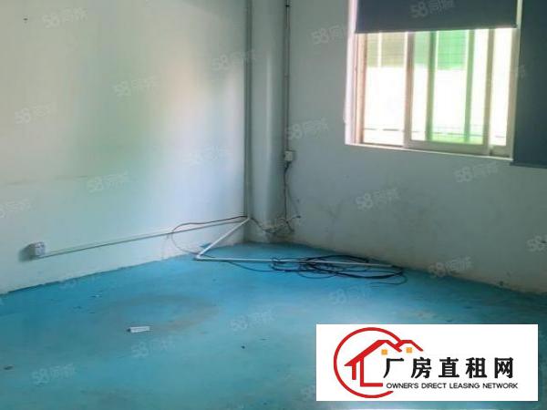  塘厦镇清湖头高丽工业区新出带装修地坪漆，办公室1000平