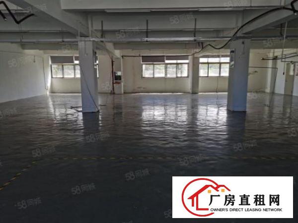  石潭布工业区新出楼上厂房整层1200平，公摊小租金