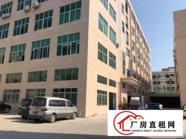  林村一手房东！3楼780带豪装只租15元好招工无公摊