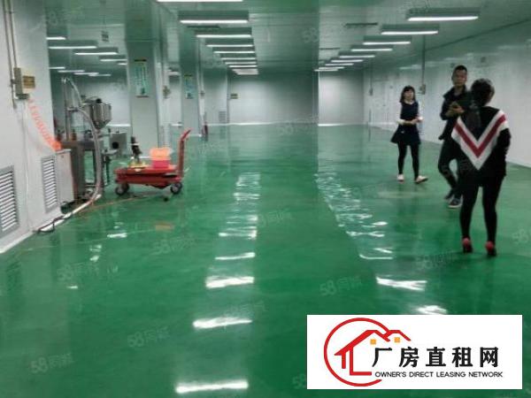 塘厦128工业区2楼800平方！千级无尘车间！适合无尘行业