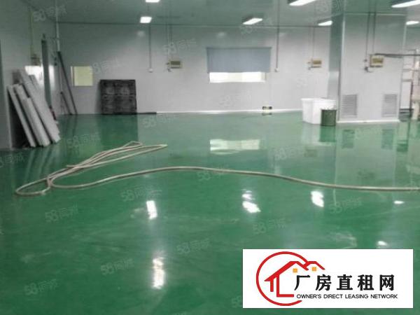  塘厦128工业区2楼800平方！千级无尘车间！适合无尘行业