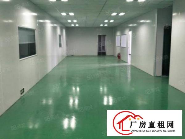  塘厦128工业区2楼800平方！千级无尘车间！适合无尘行业