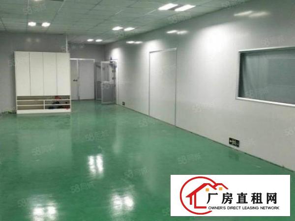  塘厦128工业区2楼800平方！千级无尘车间！适合无尘行业