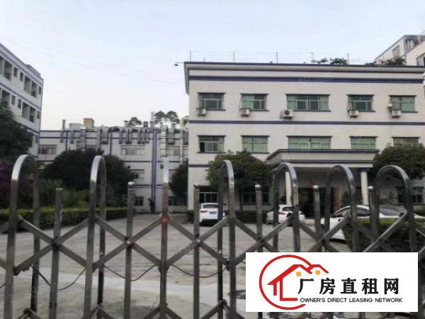  (带消防环评)清溪大利原房东2楼厂房出租1260平方，无公摊