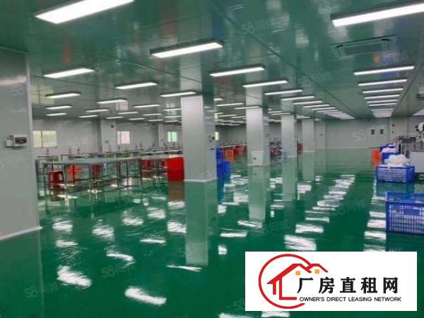  塘厦镇大坪村带红本带现成千级无尘独院厂房8200平米招租