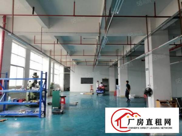  塘厦莲湖独院标准3楼550平方！电子车间小面积便宜租