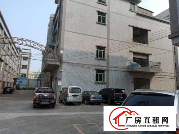  塘厦莲湖独院标准3楼550平方！电子车间小面积便宜租