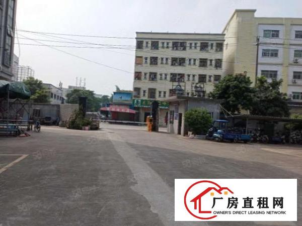  塘厦莲湖独院标准3楼550平方！电子车间小面积便宜租
