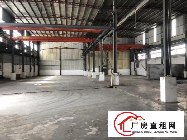  塘下镇出租独院钢构厂房1600平方，水电齐全，可办环评