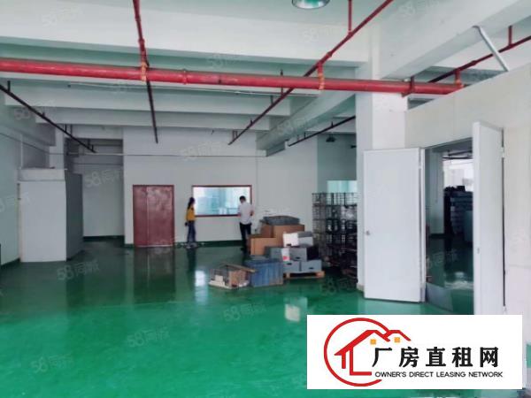  塘厦一楼1800平标准厂房出租，精装带牛角，消防五级，原房东