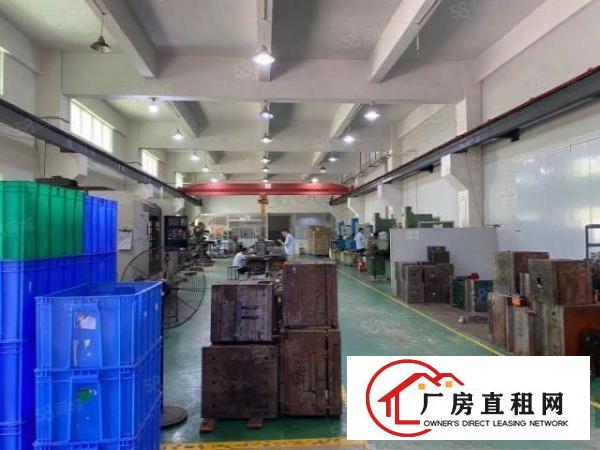  塘厦沙湖13800平方独院厂房出租，形象好，空地大
