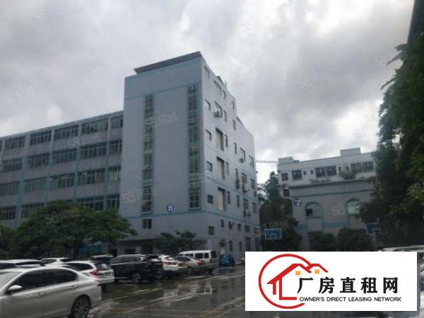  塘厦沙湖1500平厂房出租！6楼形象好，空地大，适合各种行业