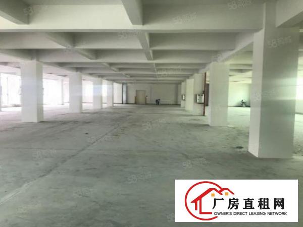  塘厦沙湖1500平厂房出租！6楼形象好，空地大，适合各种行业