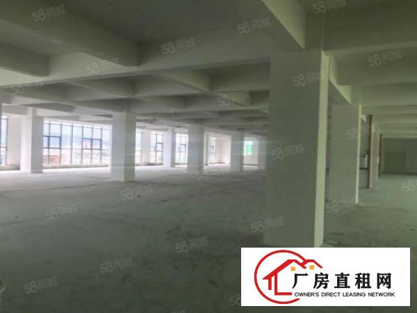  塘厦沙湖1500平厂房出租！6楼形象好，空地大，适合各种行业