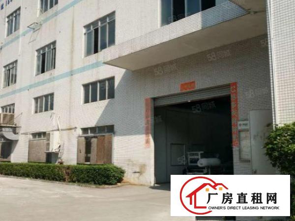  塘厦蛟乙塘独院标准1楼700平方！高6米！可装峰谷表可办环评