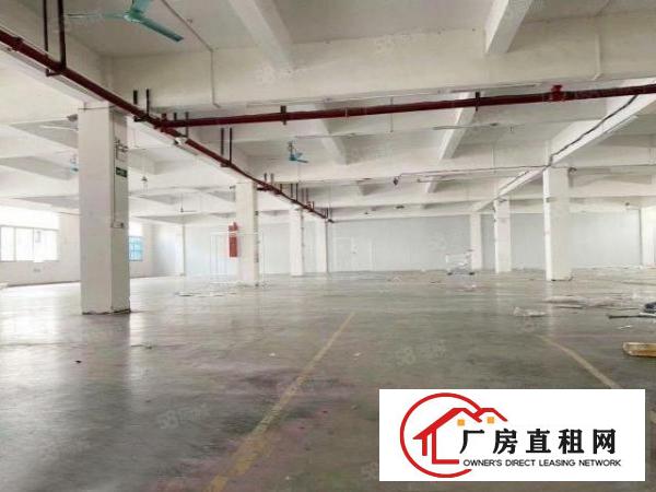  塘厦石鼓独院1楼1000平！带环评！可做喷油！喷粉等污染行业