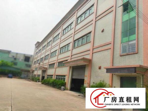  塘厦石鼓独院1楼1000平！带环评！可做喷油！喷粉等污染行业